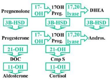 3 beta hsd deficiency